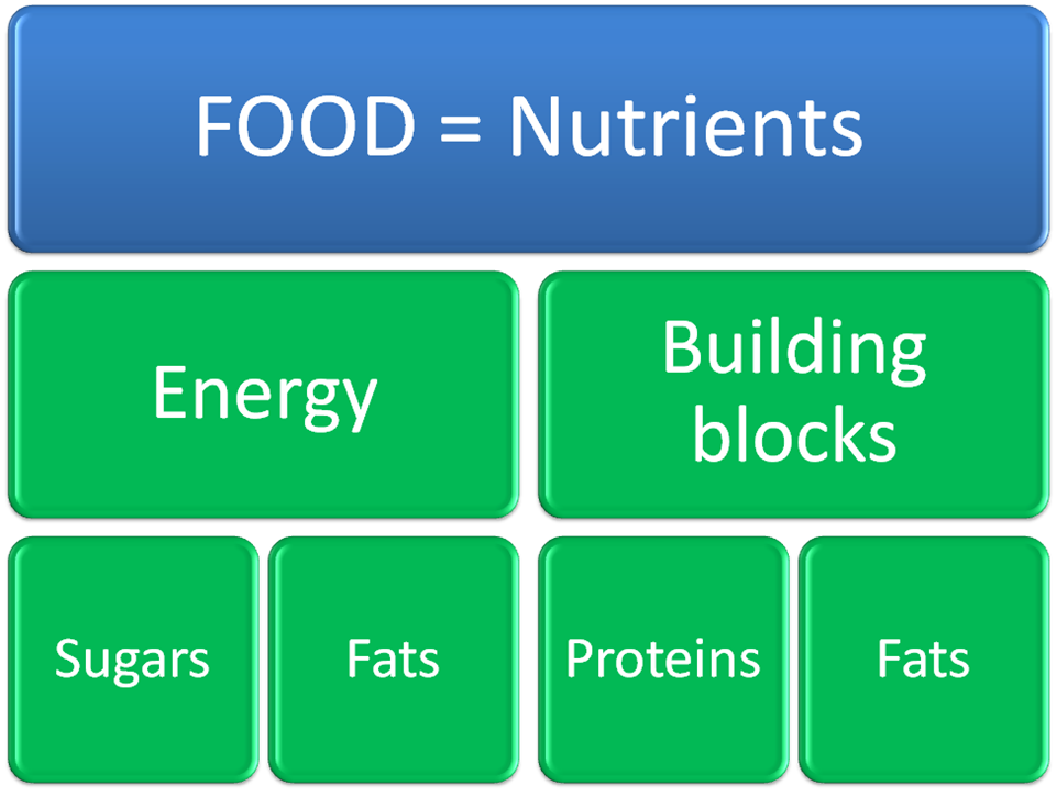 Food Risk Assessment