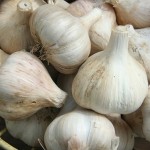 Why Garlic Is Your Friend