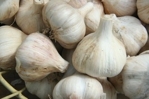 Why Garlic Is Your Friend