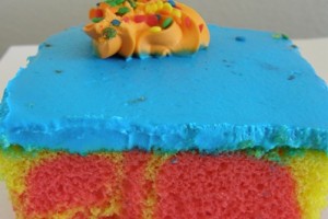 Food Terrorism: Rainbow Blast Cake