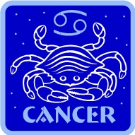 The Importance of Nutrition During Cancer Treatment The Importance of Nutrition During Cancer Treatment