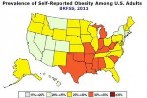 Fighting Obesity: Stop eating chemical food surrogates!
