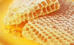 Honeycomb