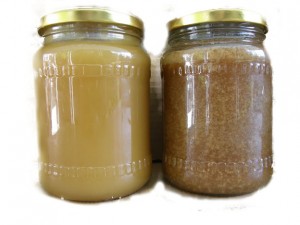Polyfloral and Buckwheat honeys