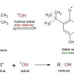 Do we need antioxidant supplements?