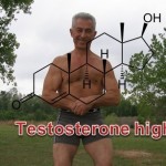 Testosterone High