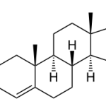 Testosterone structure