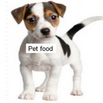 Food for your pet: Hidden toxins to watch