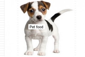 Food for your pet: Hidden toxins to watch