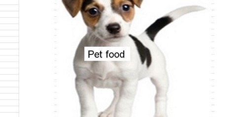 Food for your pet: Hidden toxins to watch